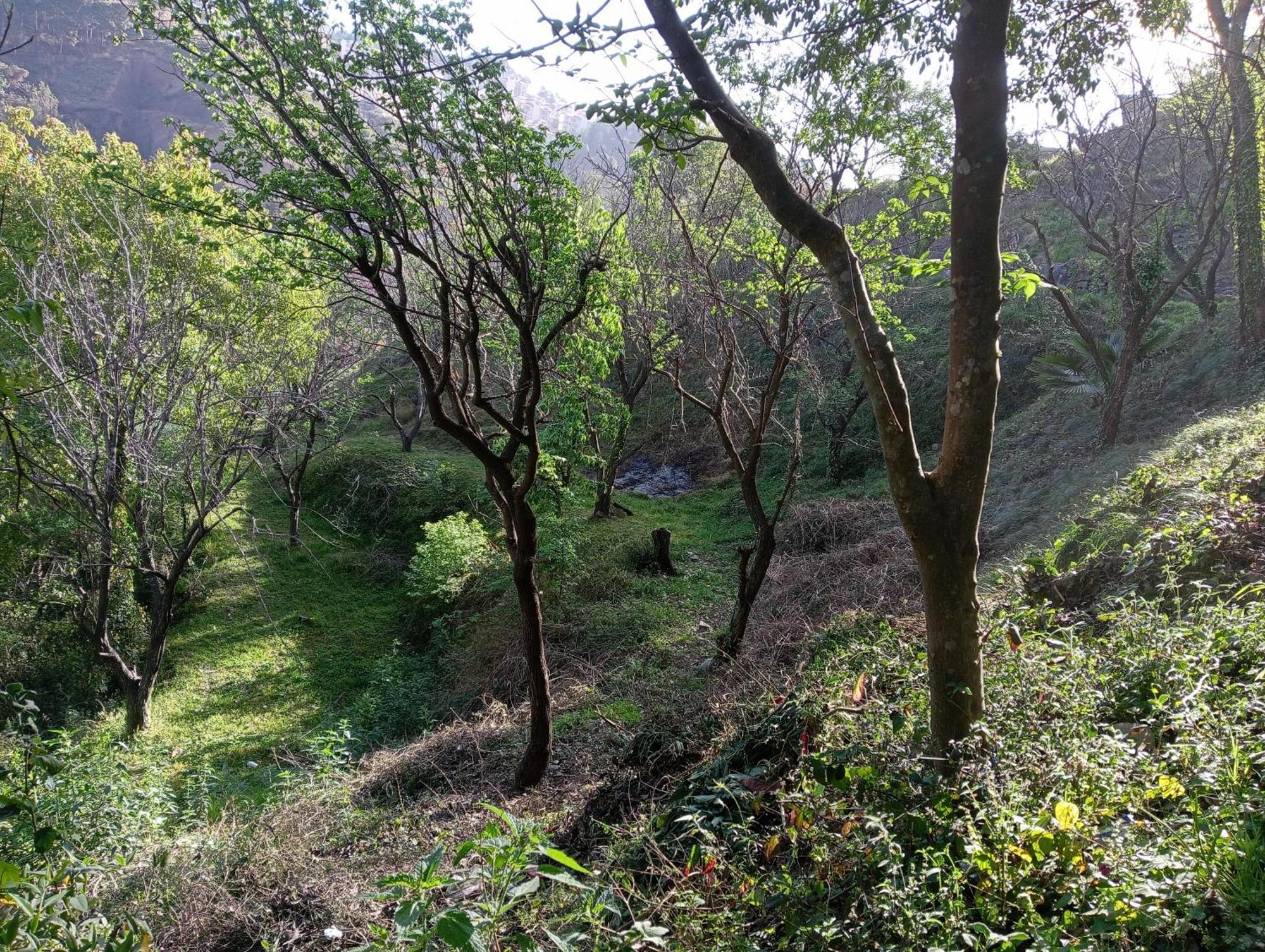 Kandāghāt Mohija Homestay מראה חיצוני תמונה